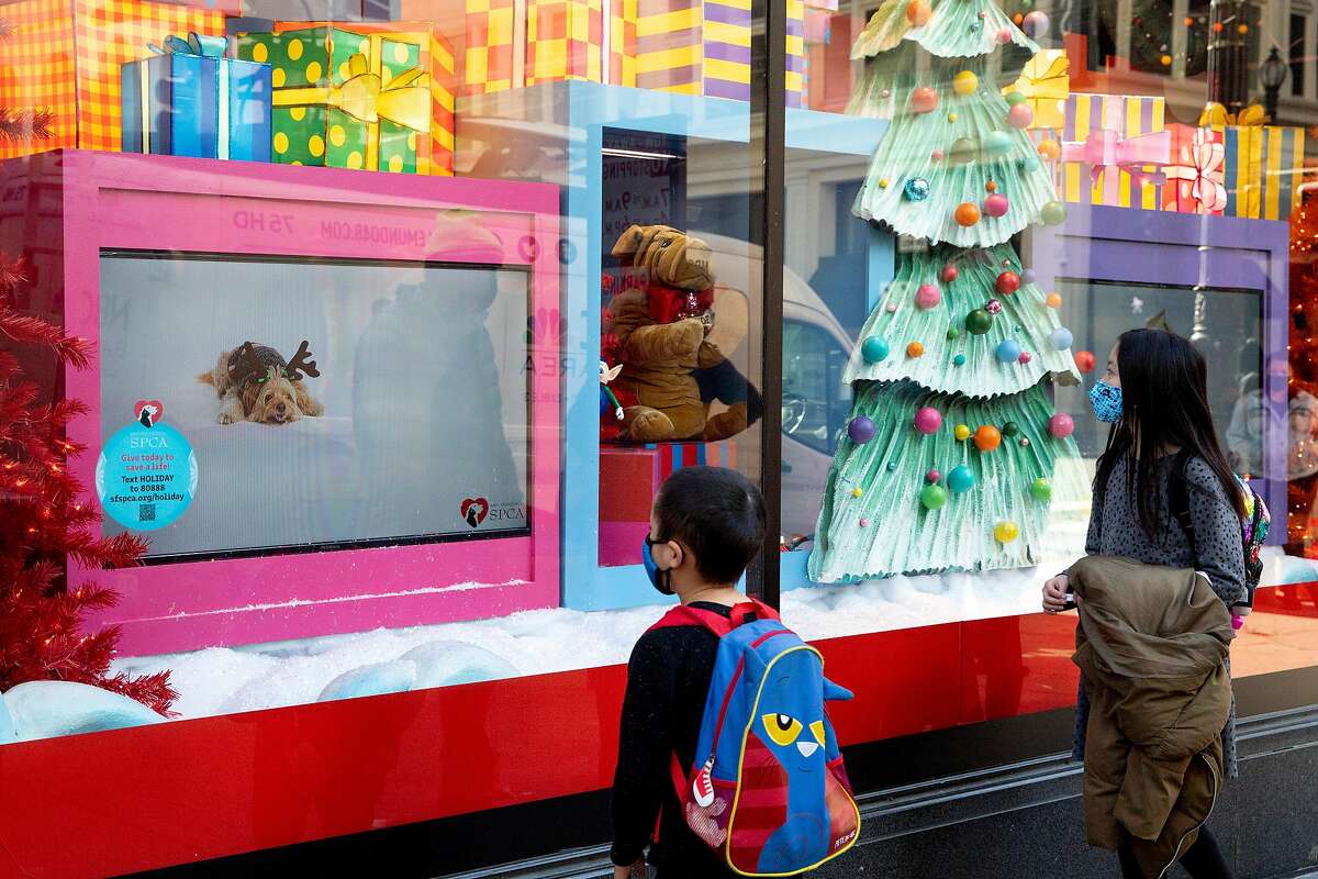 Holiday 2020 Puppies Kittens In Macys Window Display Still Cute But