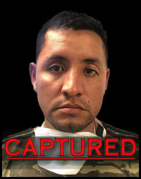 U S Border Patrol Agents Arrest Gang Member Sex Offender