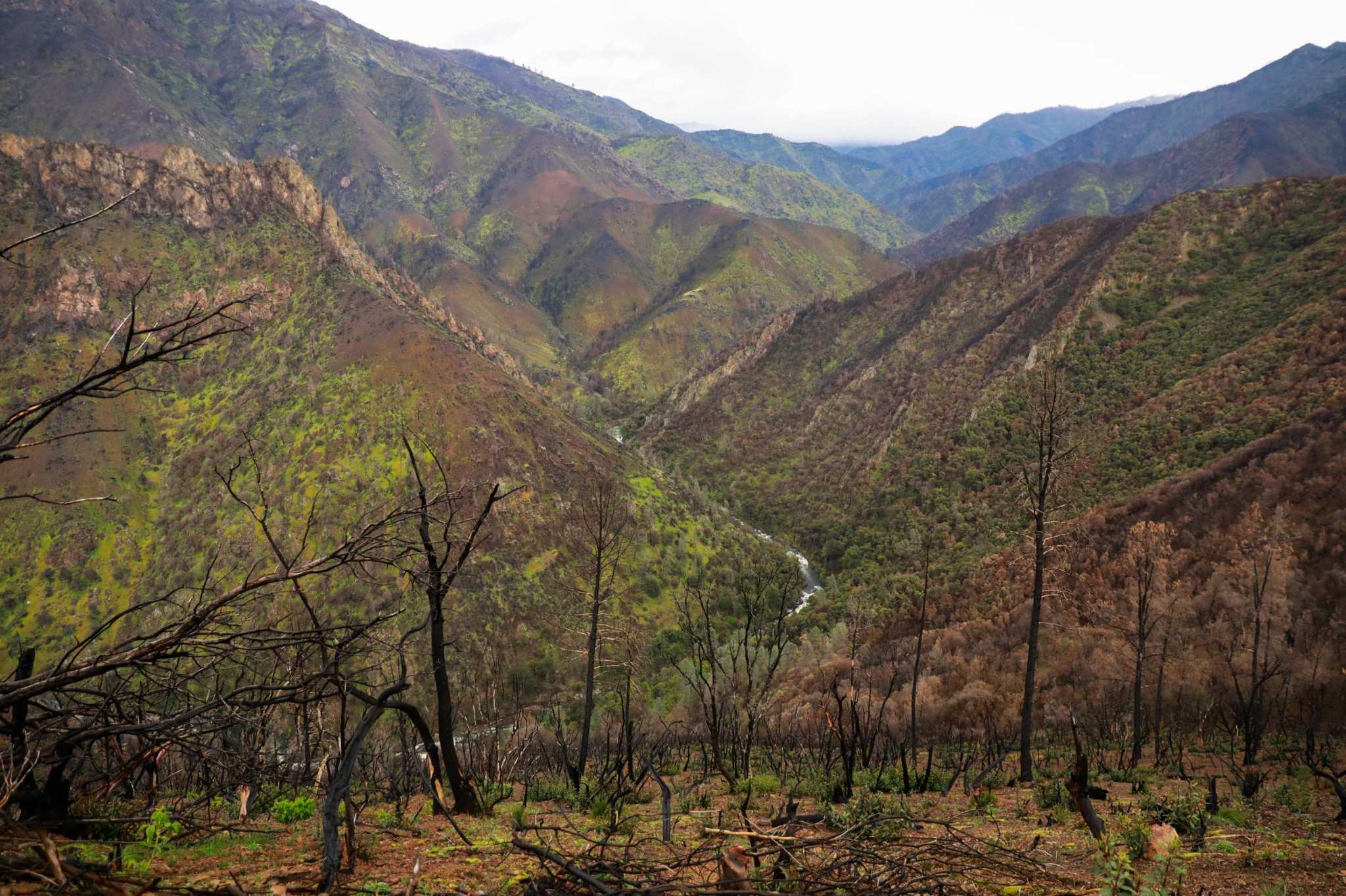 Remote hiking area where Northern California family was found dead treated as a hazmat site 1 Remote hiking area where Northern California family was found dead treated as a hazmat site