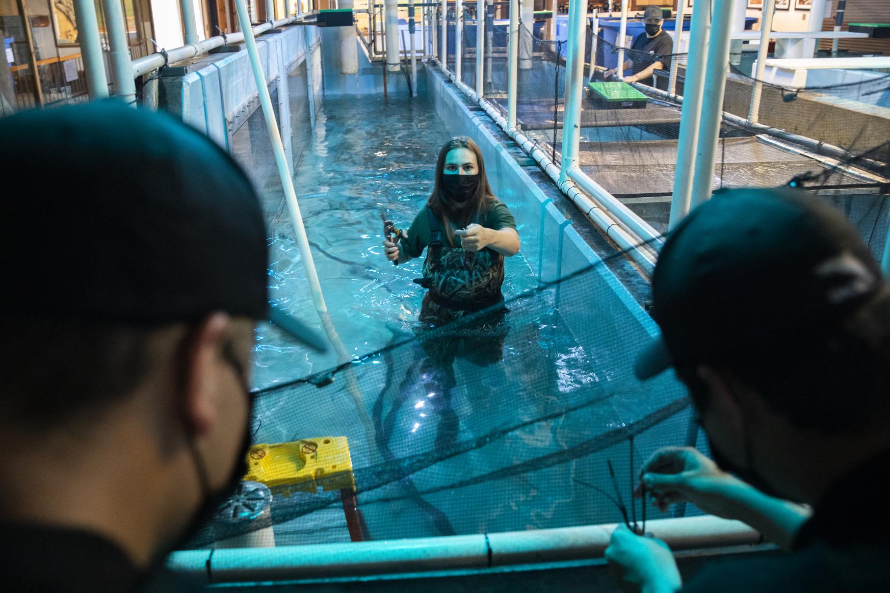 Bay Area high school rescues 4,000 endangered salmon from the drought - they'll grow up on campus 1 Bay Area high school rescues 4,000 endangered salmon from the drought - they'll grow up on campus