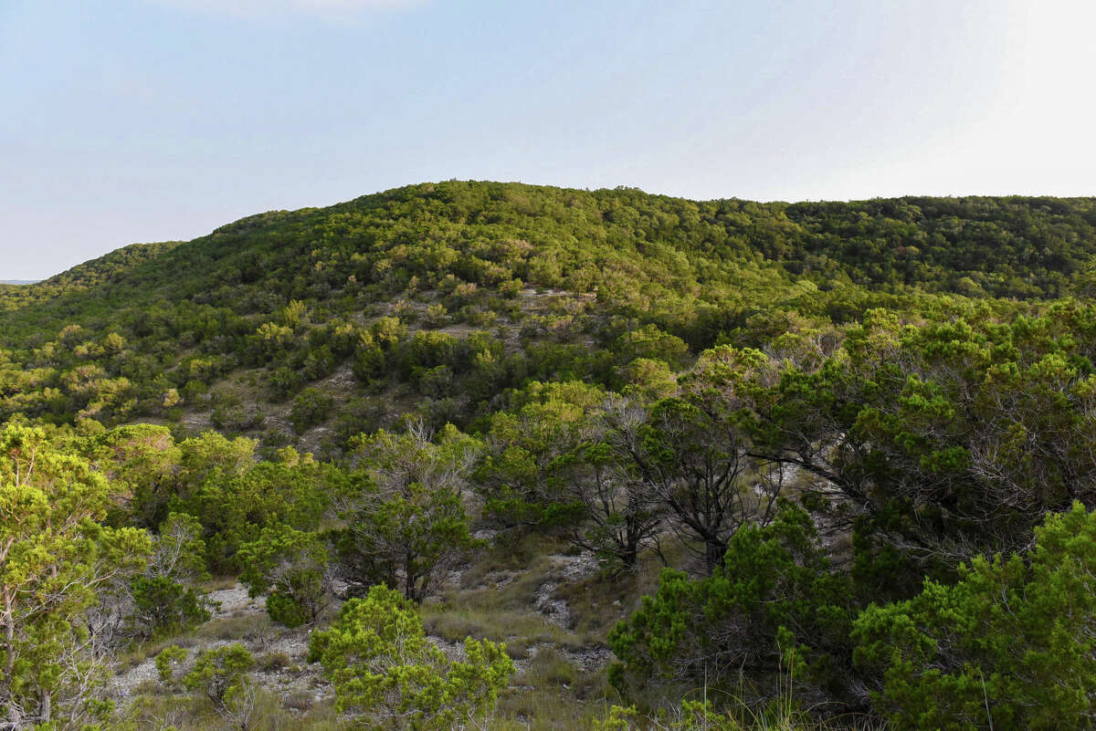 Of The Best Texas Hill Country Hikes To Take Right Now