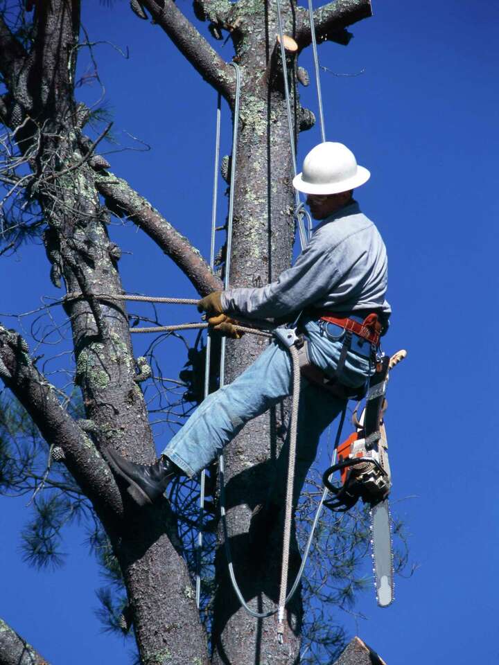 How To Adjust The Carburetor On A Poulan Pole Saw