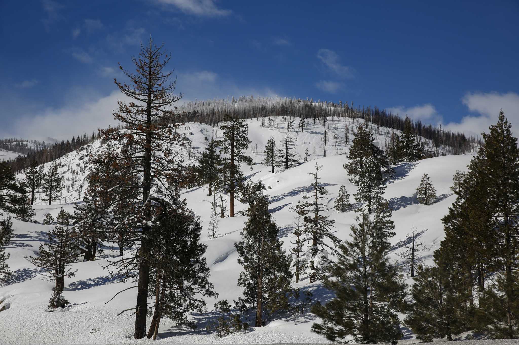 California Snowpack Satellite Imagery Shows Dramatic Whiplash