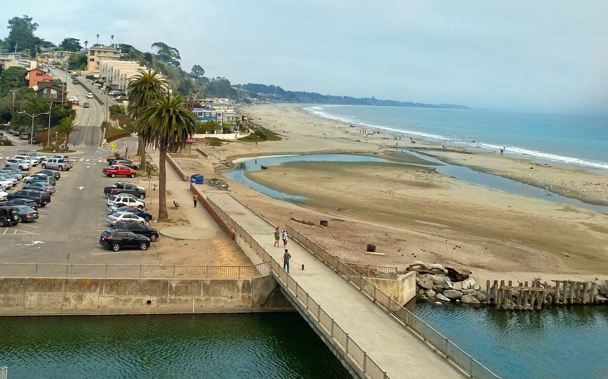 Rare Mastodon Tooth Seen Lost Then Found Again On California Beach