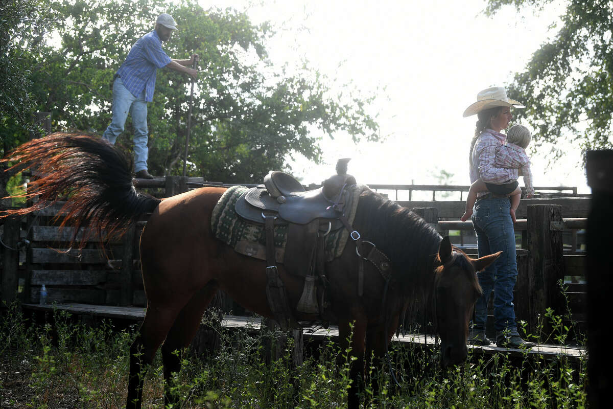 Hamshire Female Rancher Vies For The Herd On Ultimate Cowboy Showdown