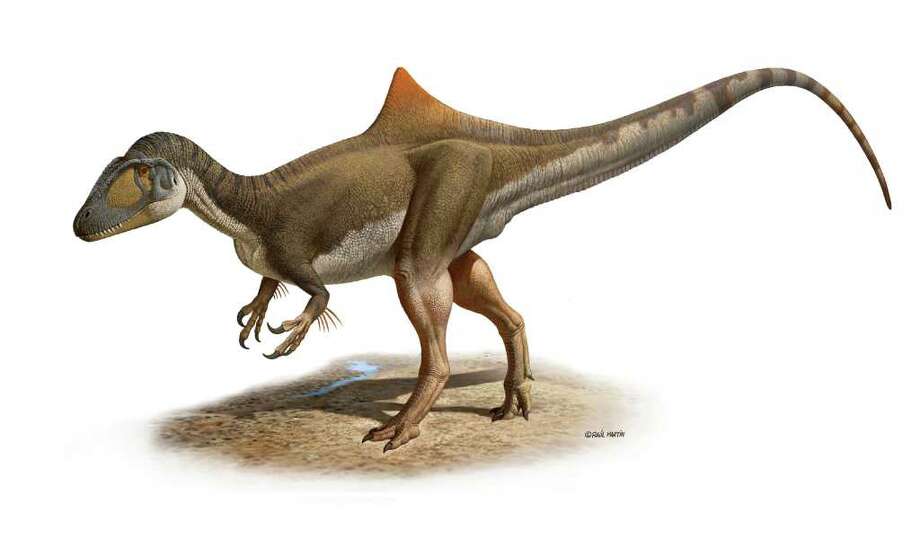 discernible,ponderous dinosaur with discernible hump discovered in spain