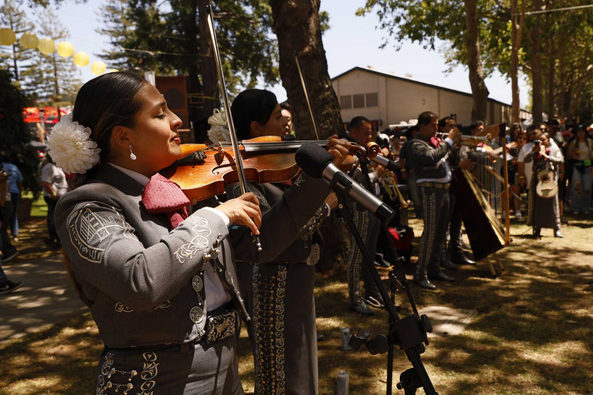 Festival La Onda Mariachi Bands Bring Authenticity To New Napa Event