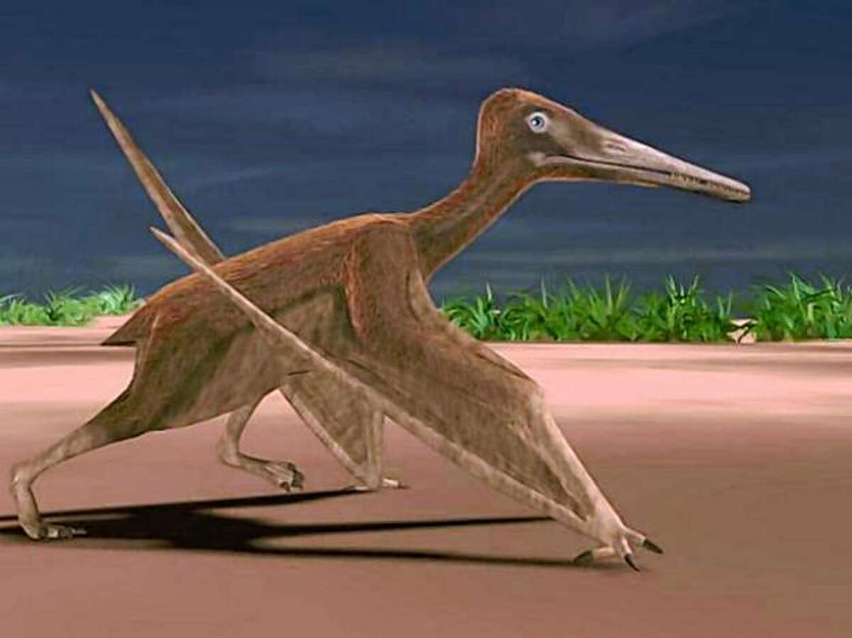 Fossils Of Pterosaur Flying Texas Reptile Unearthed By SMU Researchers