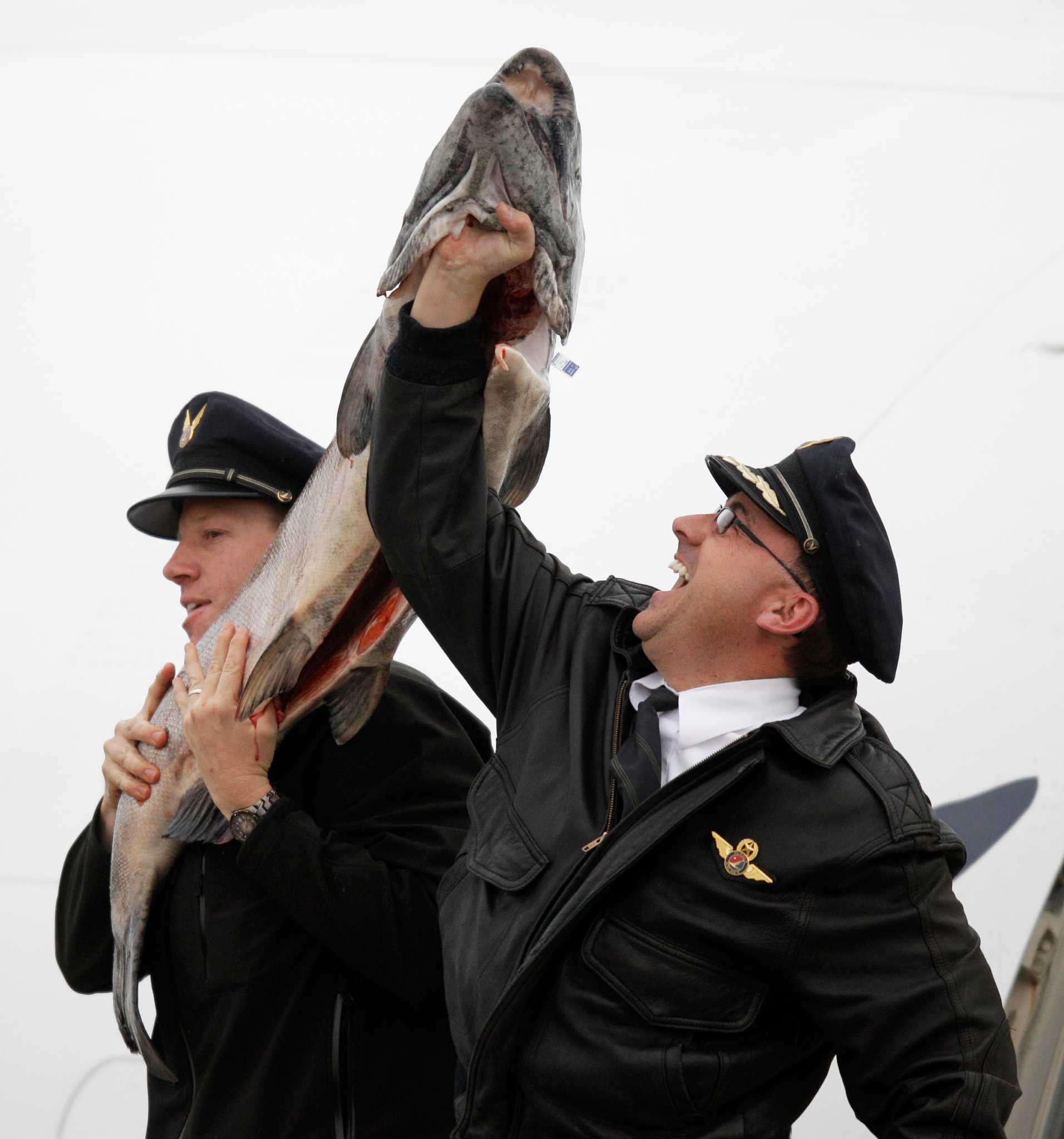 Alaska Air Delivers First Copper River Salmon