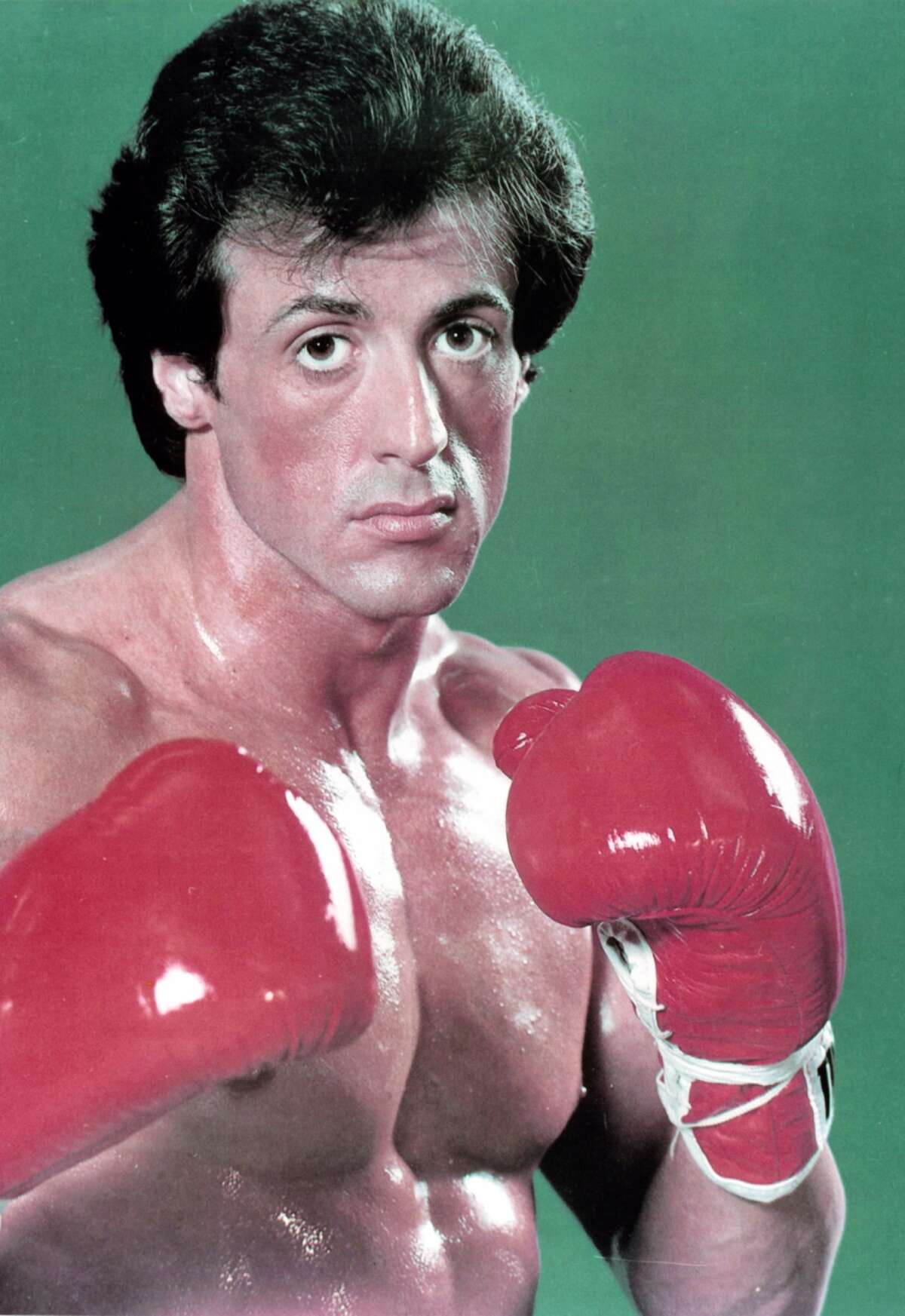 Live Like Rocky In Rocky II