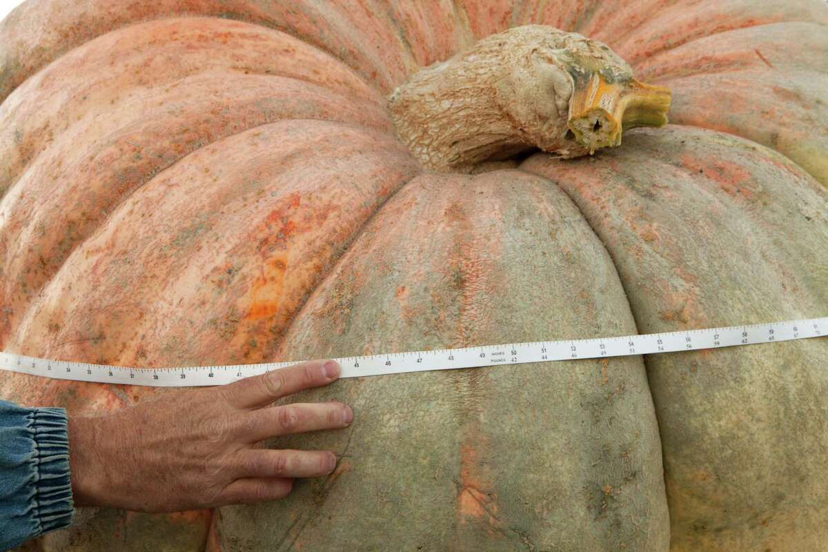 World Championship Pumpkin Weigh Off