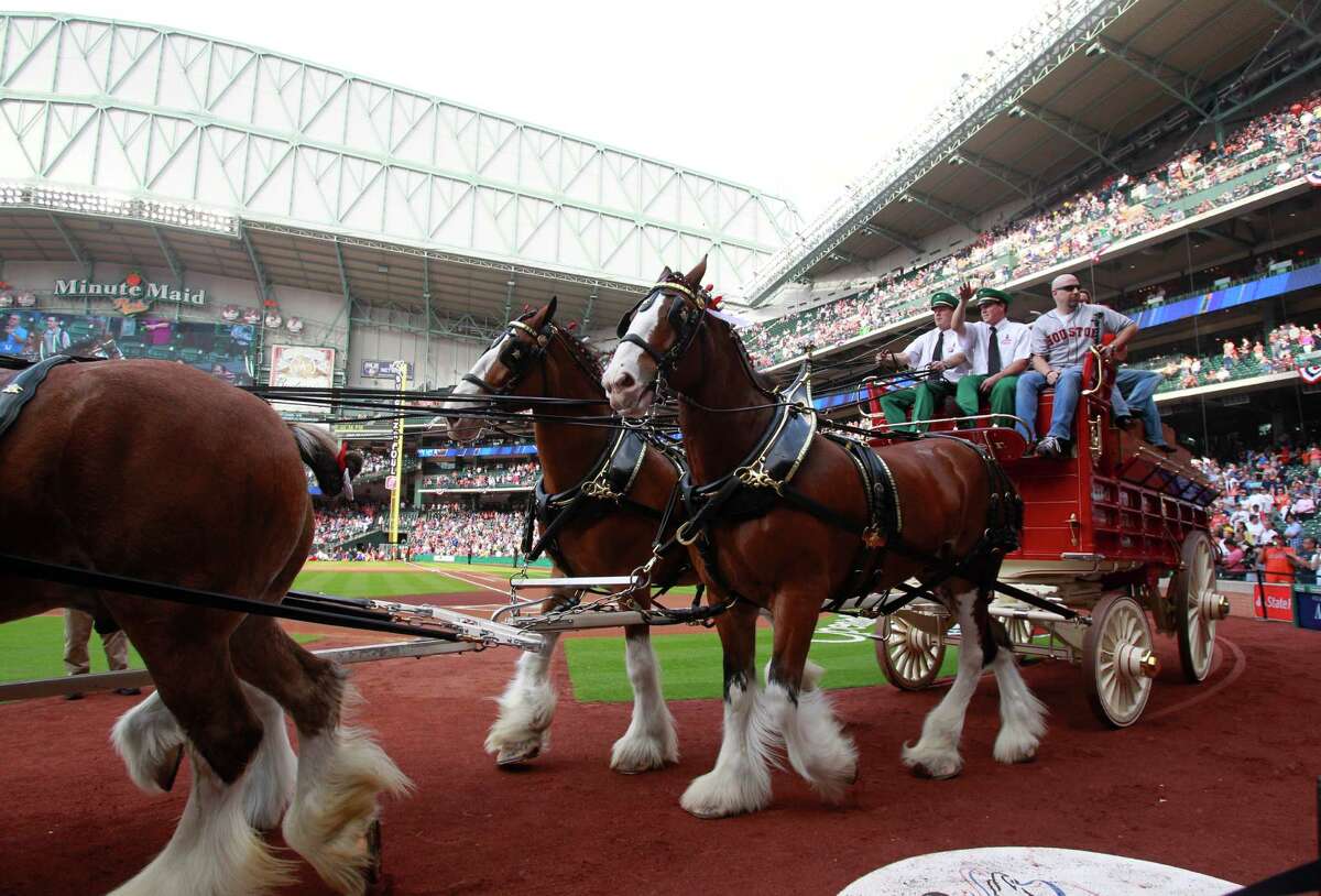 Budweiser Gives Clydesdales Holiday Pink Slip