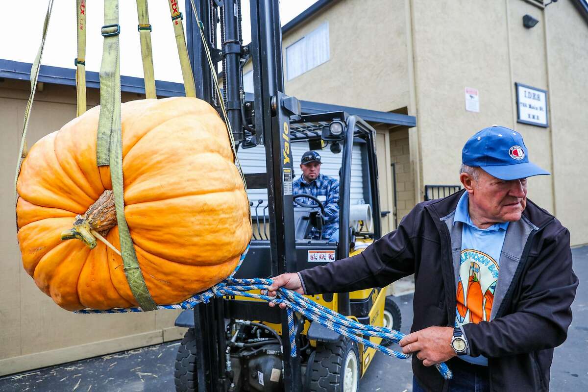 St Woman In Years Wins Half Moon Bays Pumpkin Weigh Off