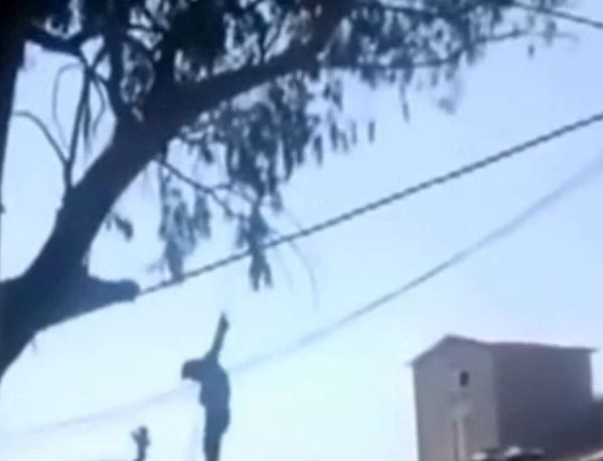 Man Hung By Wrists From A Tree After Allegedly Burglarizing Home In Mexico