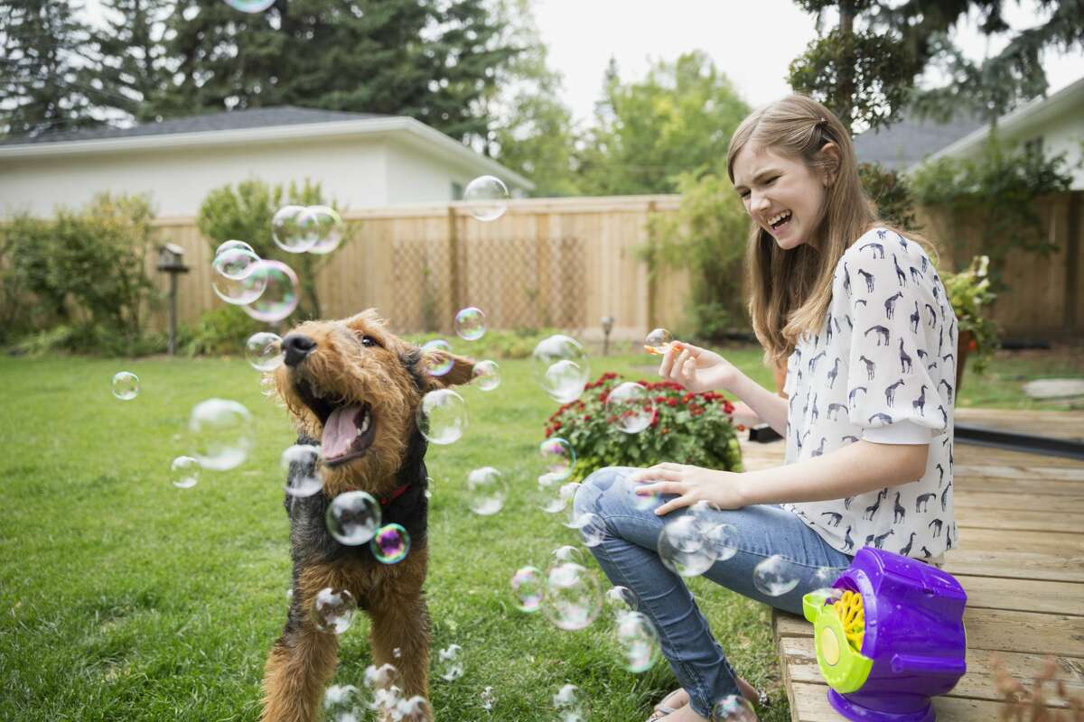 Femme avec chien