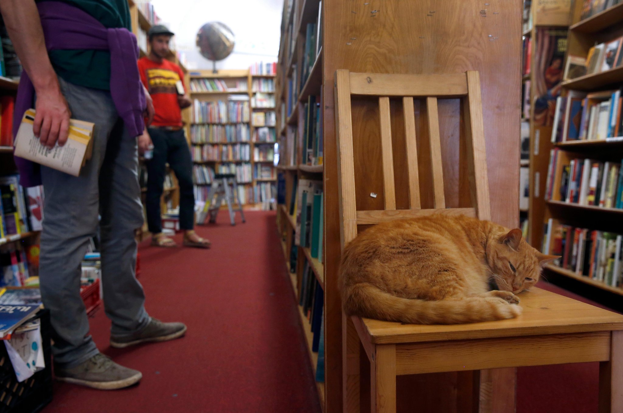 San Francisco’s Aardvark Books back on the market — for $2.45 million