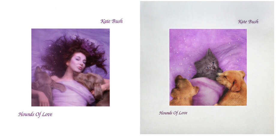 kate bush - "hounds of love" photo: courtesy images