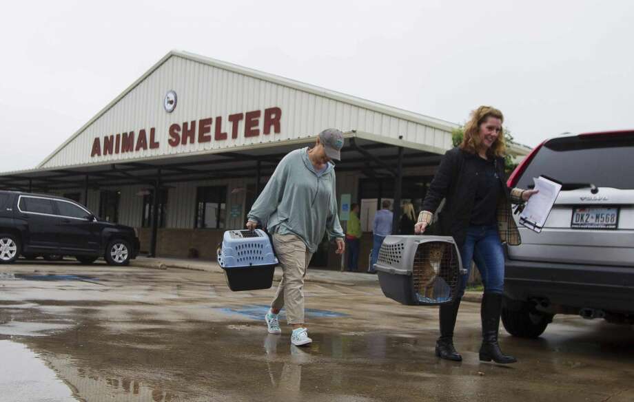 one year after harvey, flood mitigation remains a