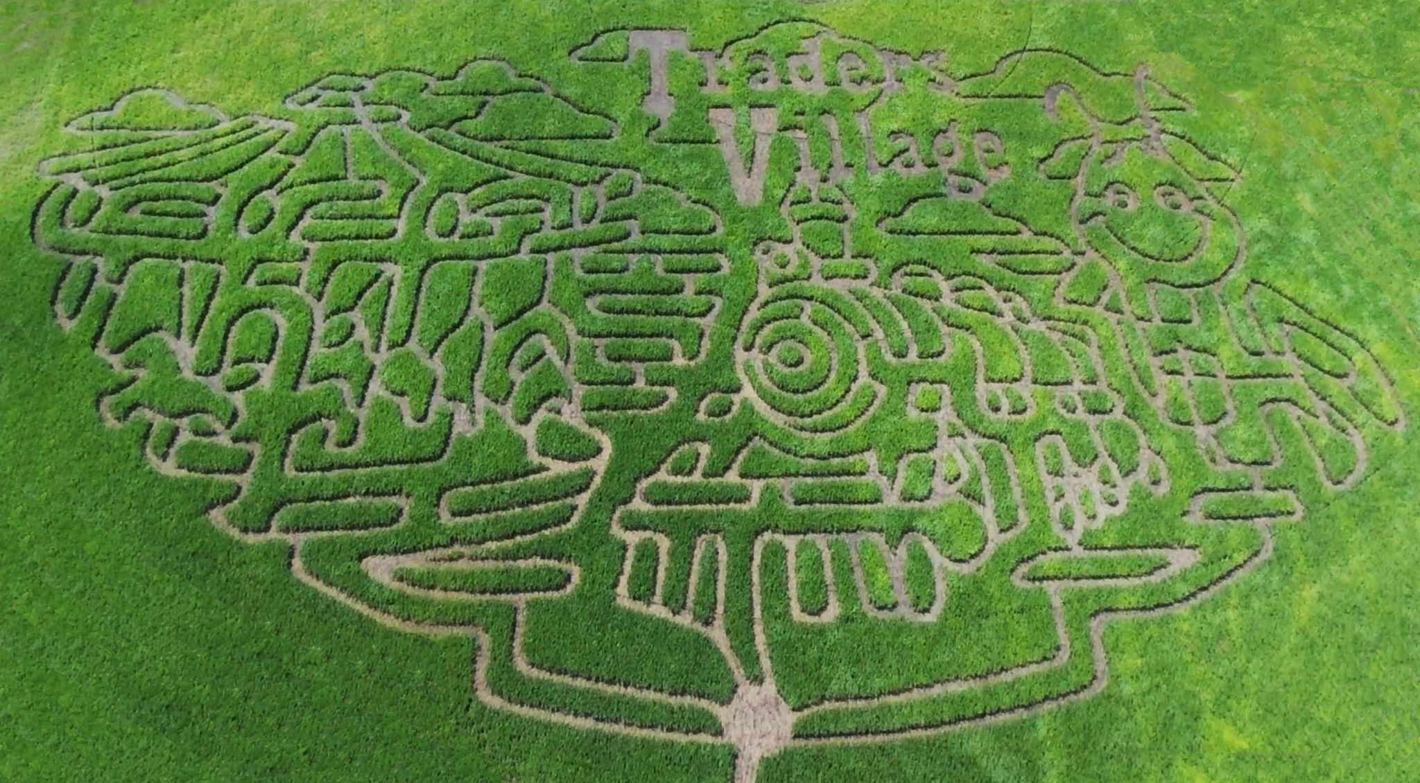 Traders Village Will Debut San Antonio S First And Only Corn Maze In