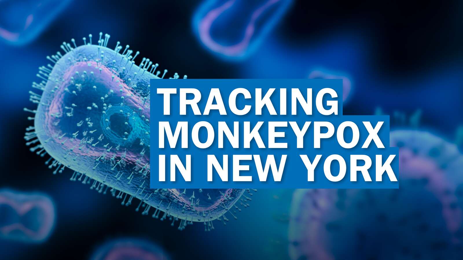 Monkeypox in New York Tracking cases in Albany and across the state
