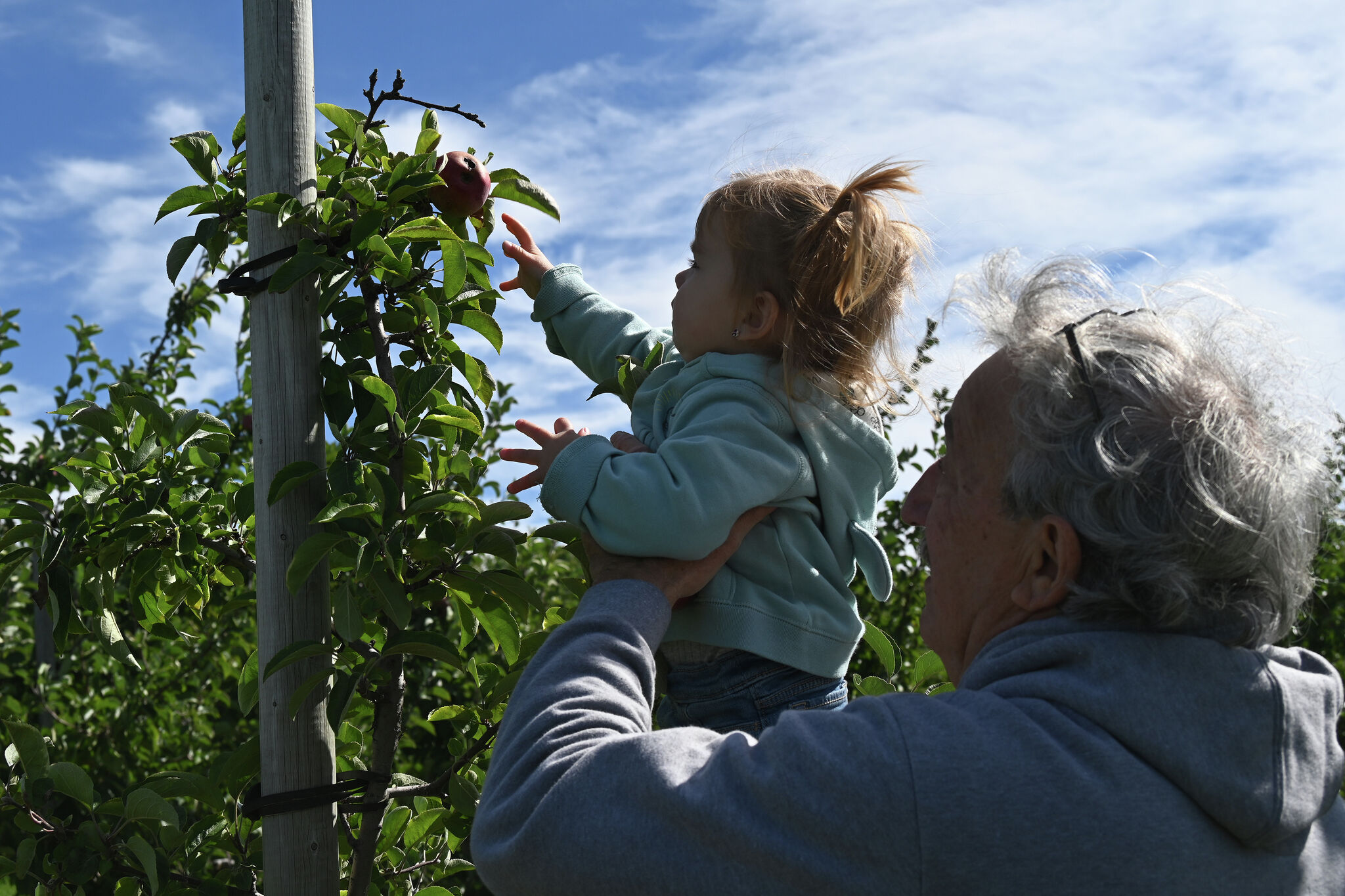 Apple picking in Connecticut A 2024 orchard guide