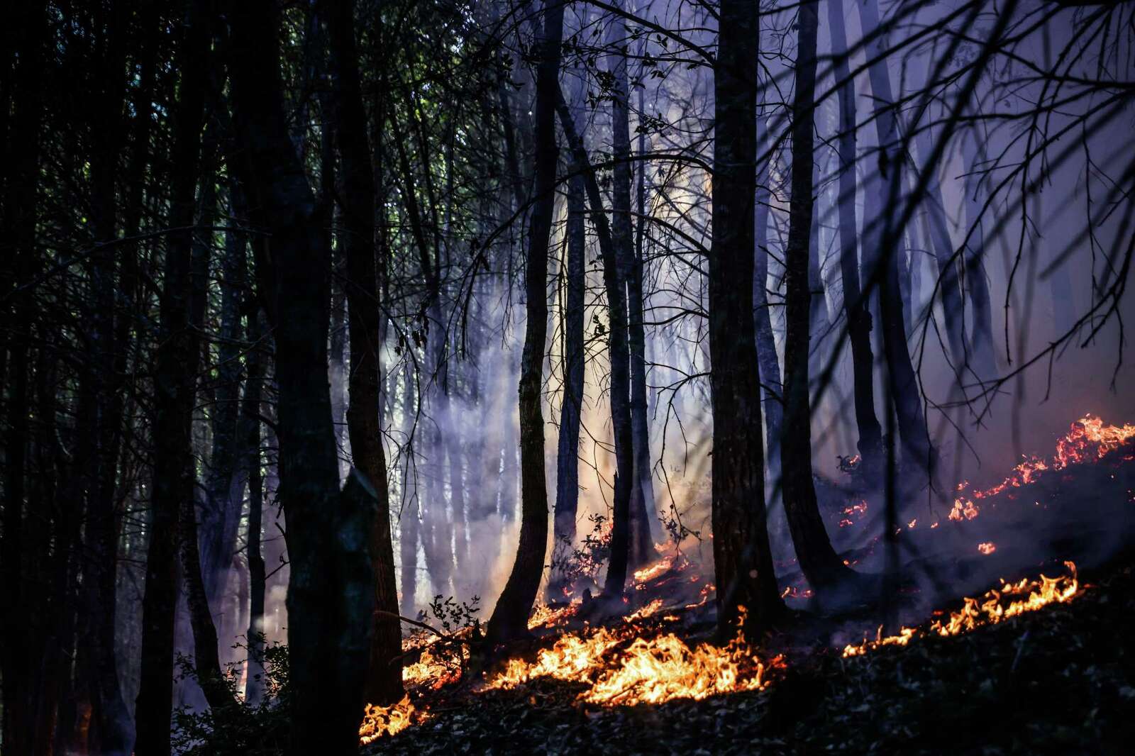 This one fact will completely change how you think about California