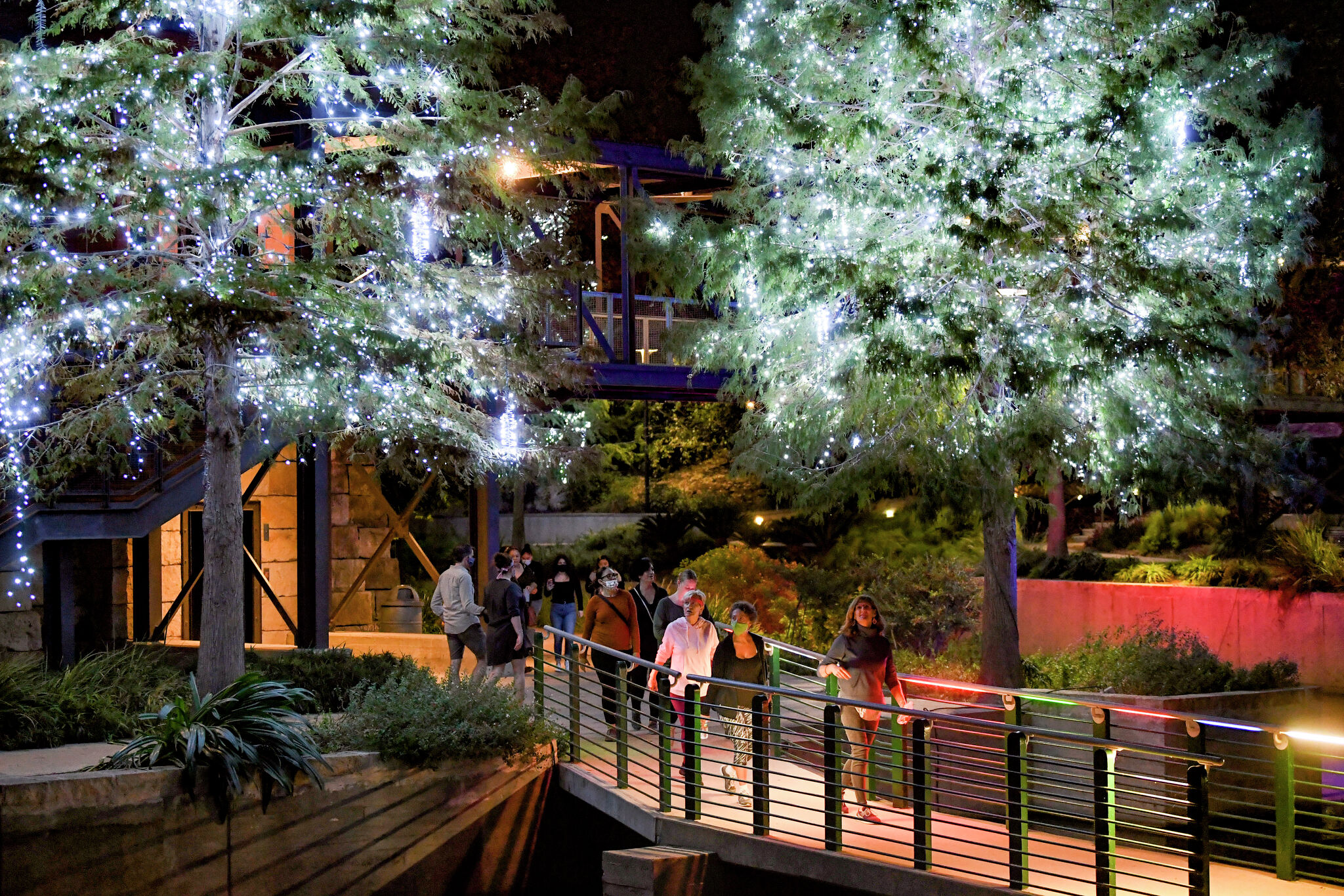 Christmas lights in San Antonio and the Hill Country