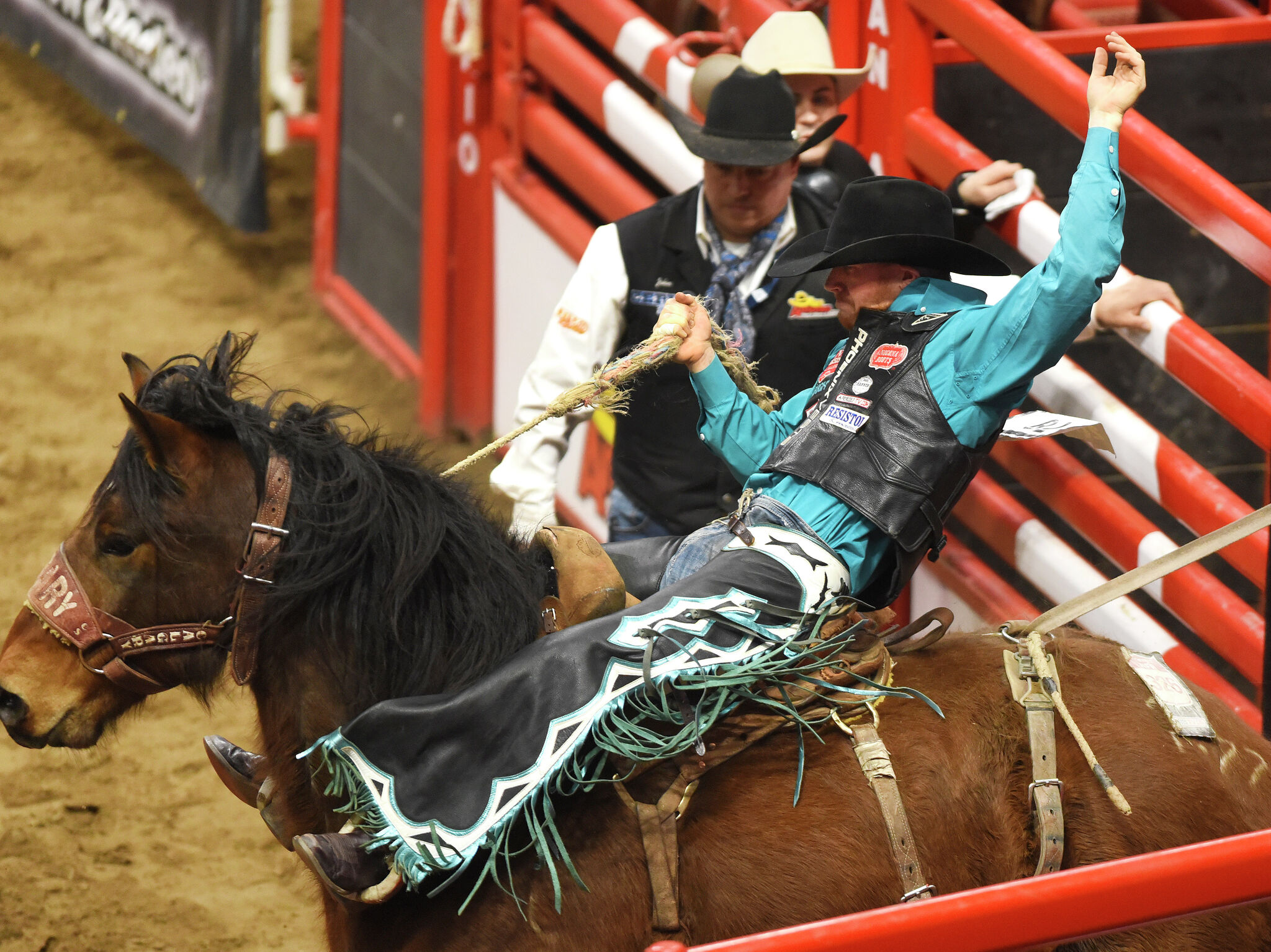 San Antonio rodeo Guide to entertainment, food and more