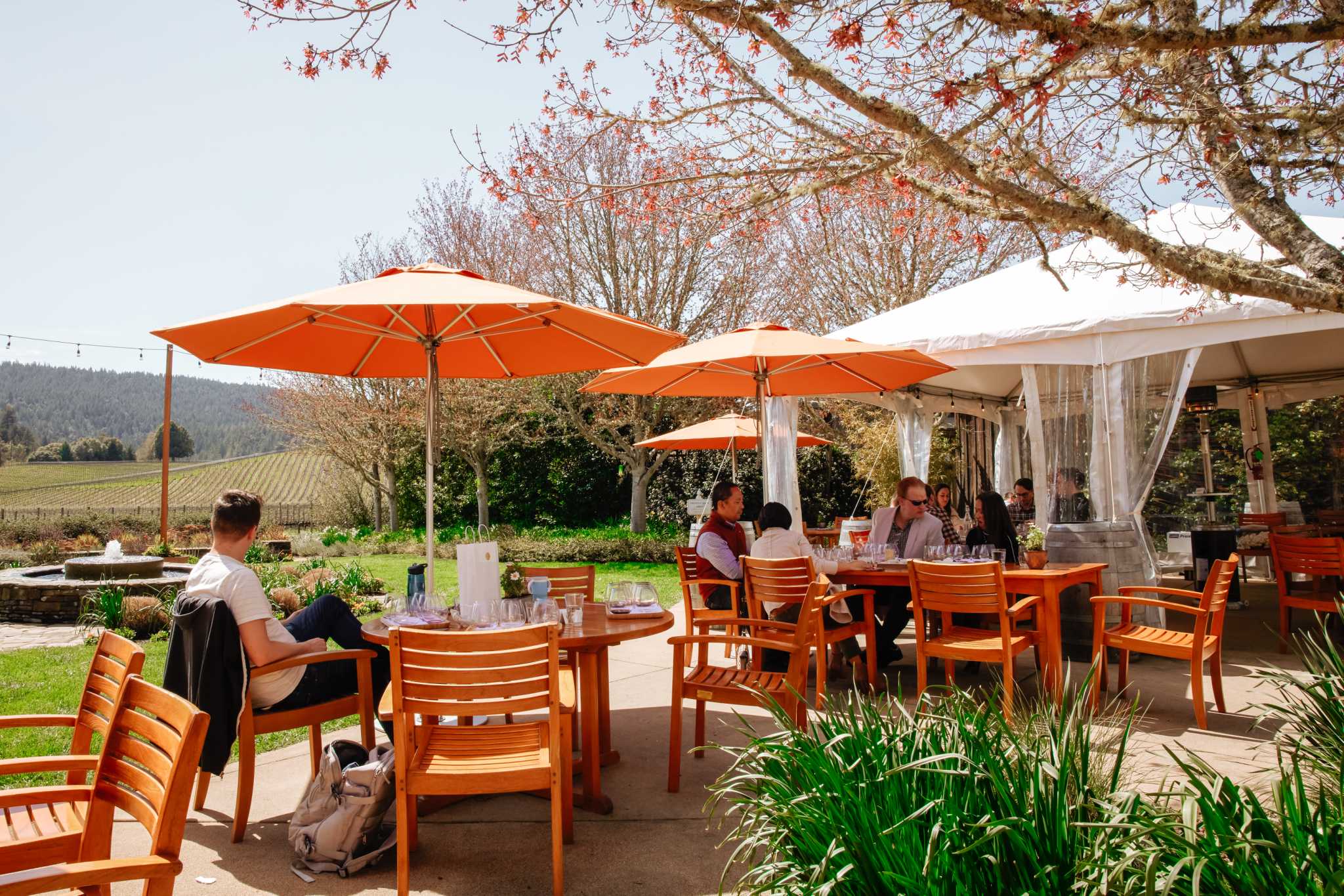 Best wineries to visit in California’s Anderson Valley