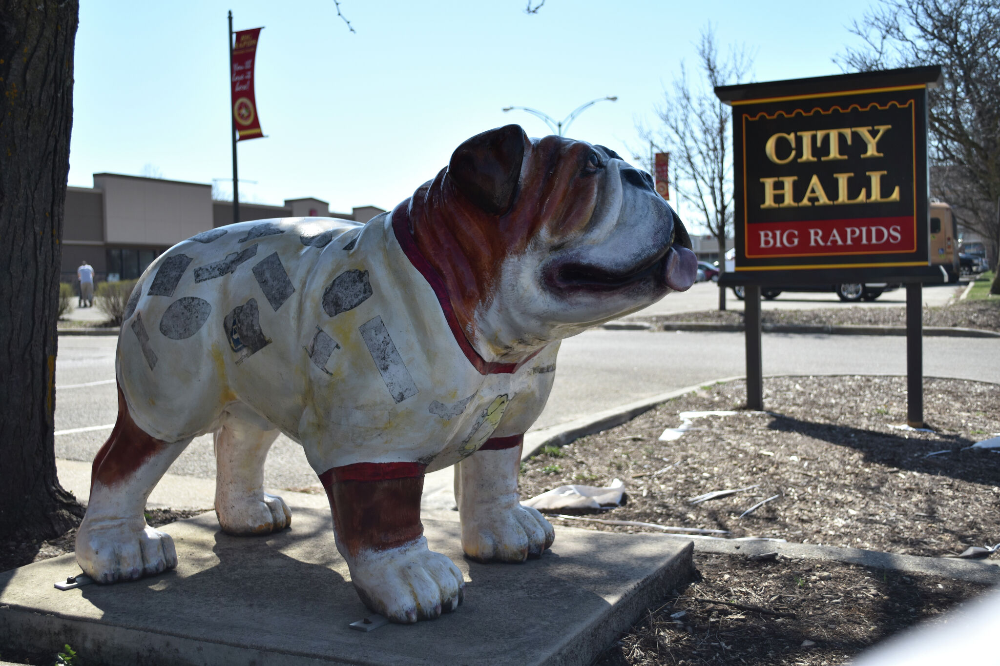 Big Rapids Bulldawg Statues scattered throughout Big Rapids Michigan