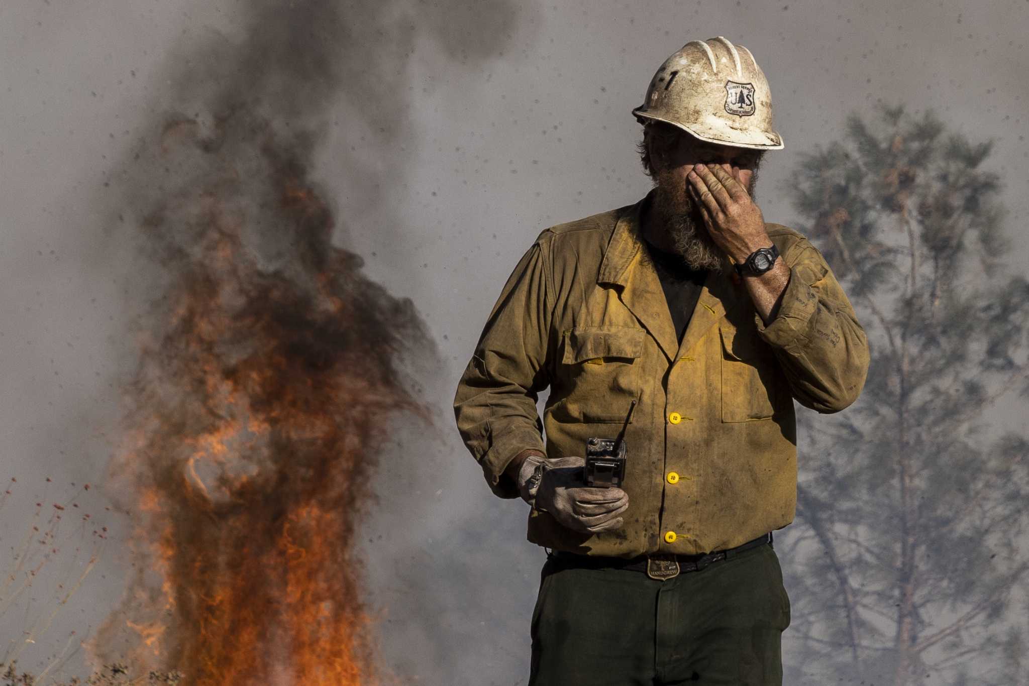 Wildland Fire: Fireline Construction (U.S. National Park Service)