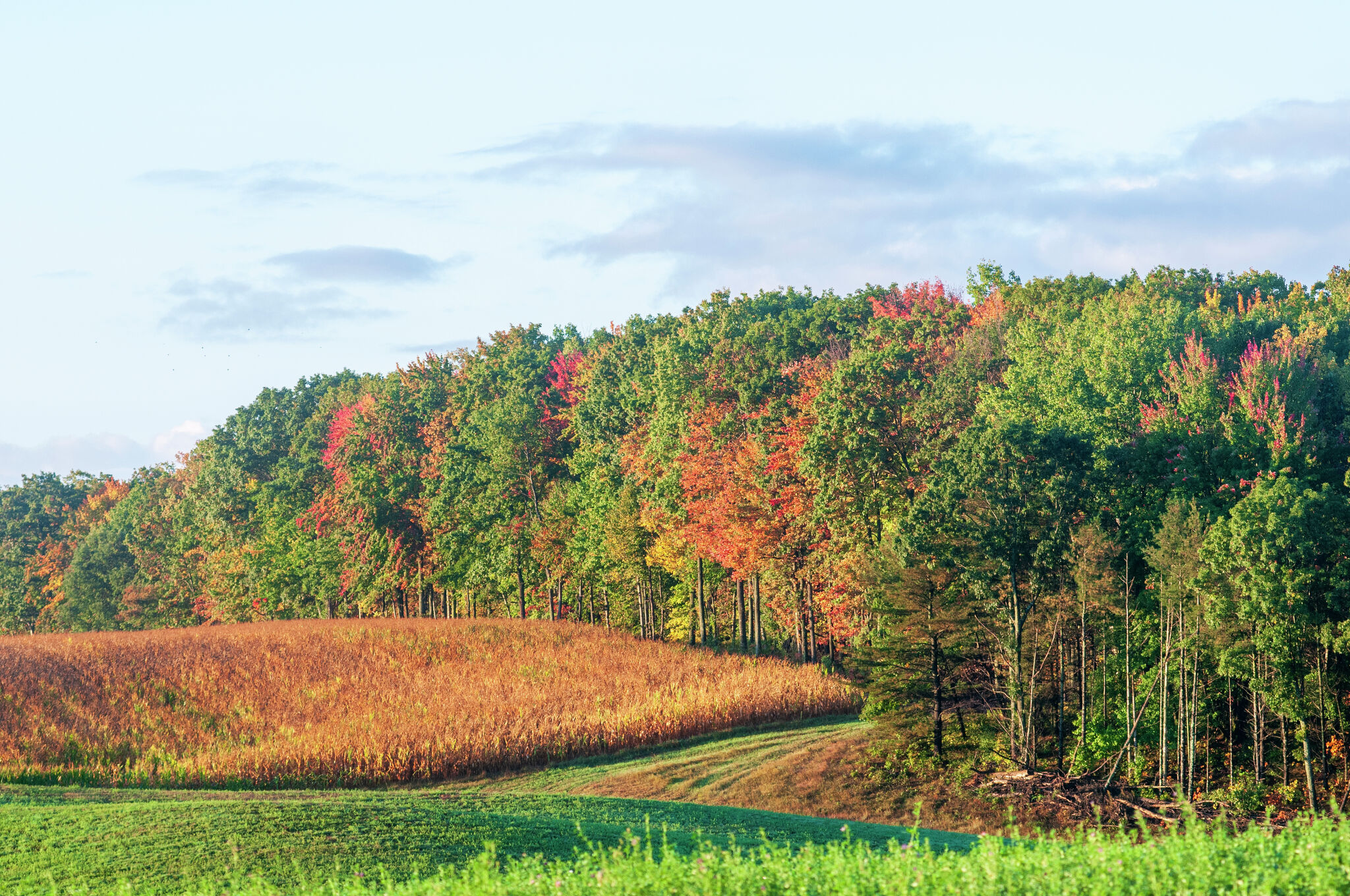 Mecosta County Color Tour Highlights Local History mecosta-county-color-tour-highlights-local-history