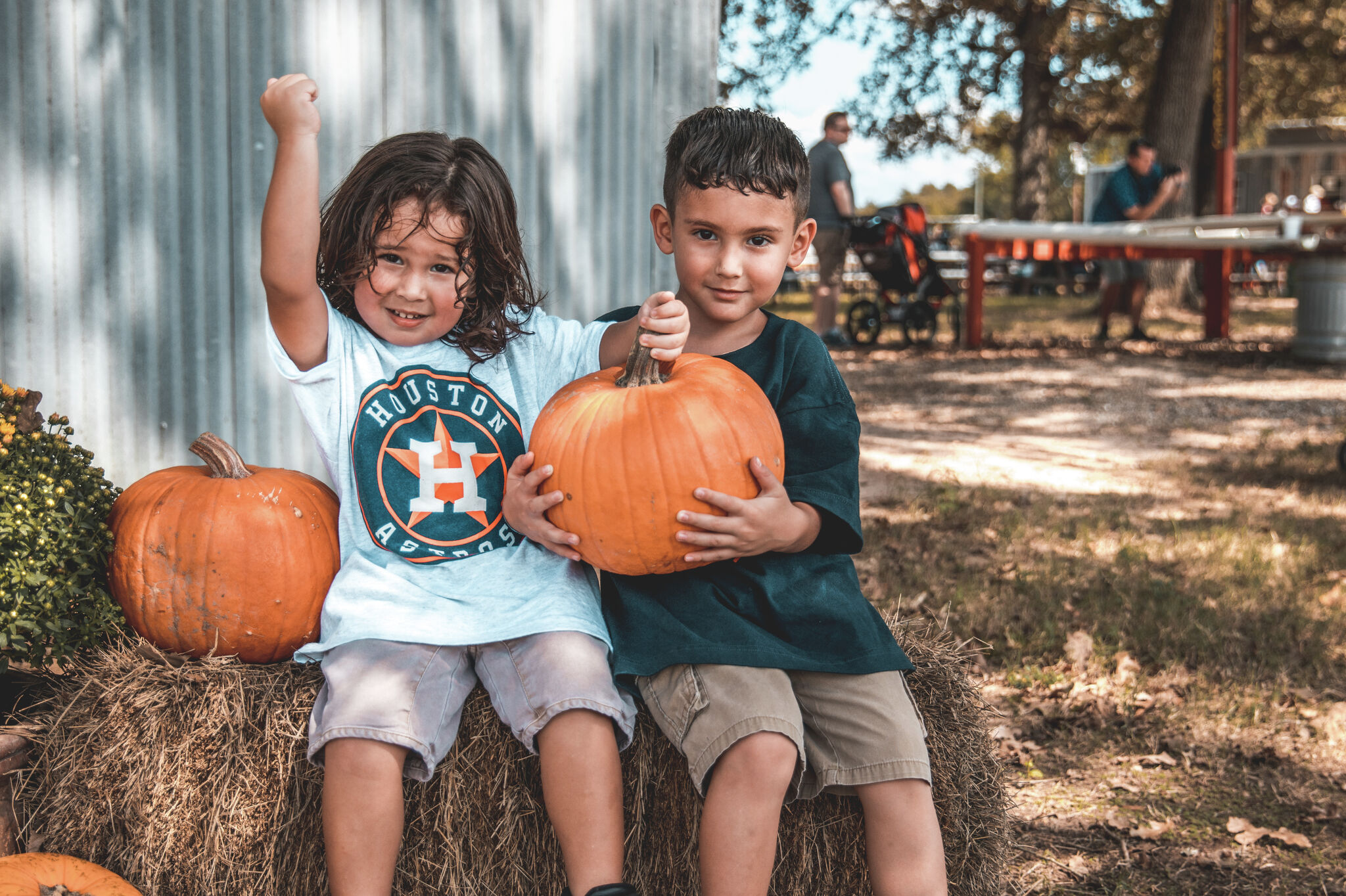 Best Houston pumpkin patches to visit this fall