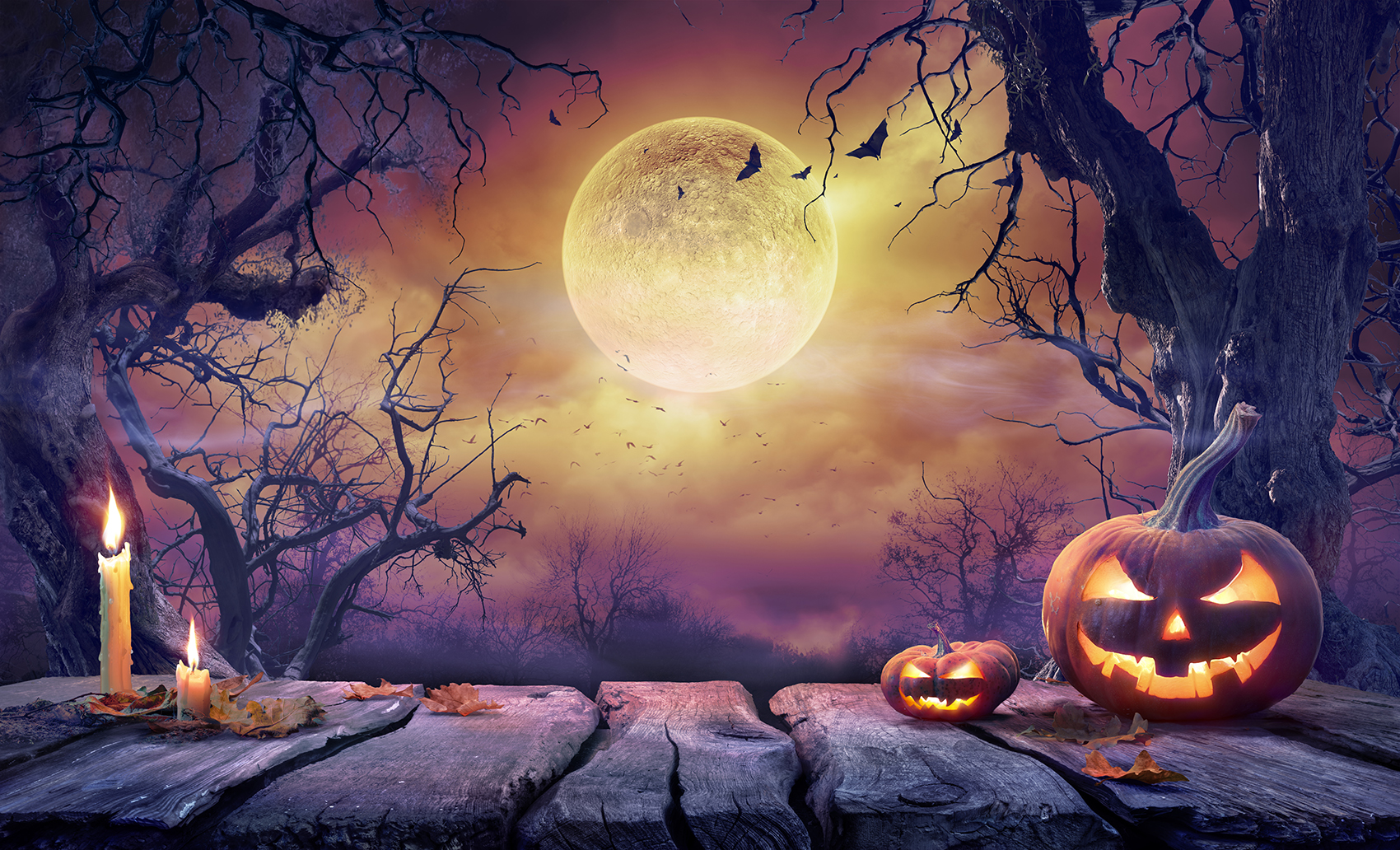 Journal Courier #39 s guide to Halloween fun and frights Journal Courier #39 s guide to Halloween fun and frights