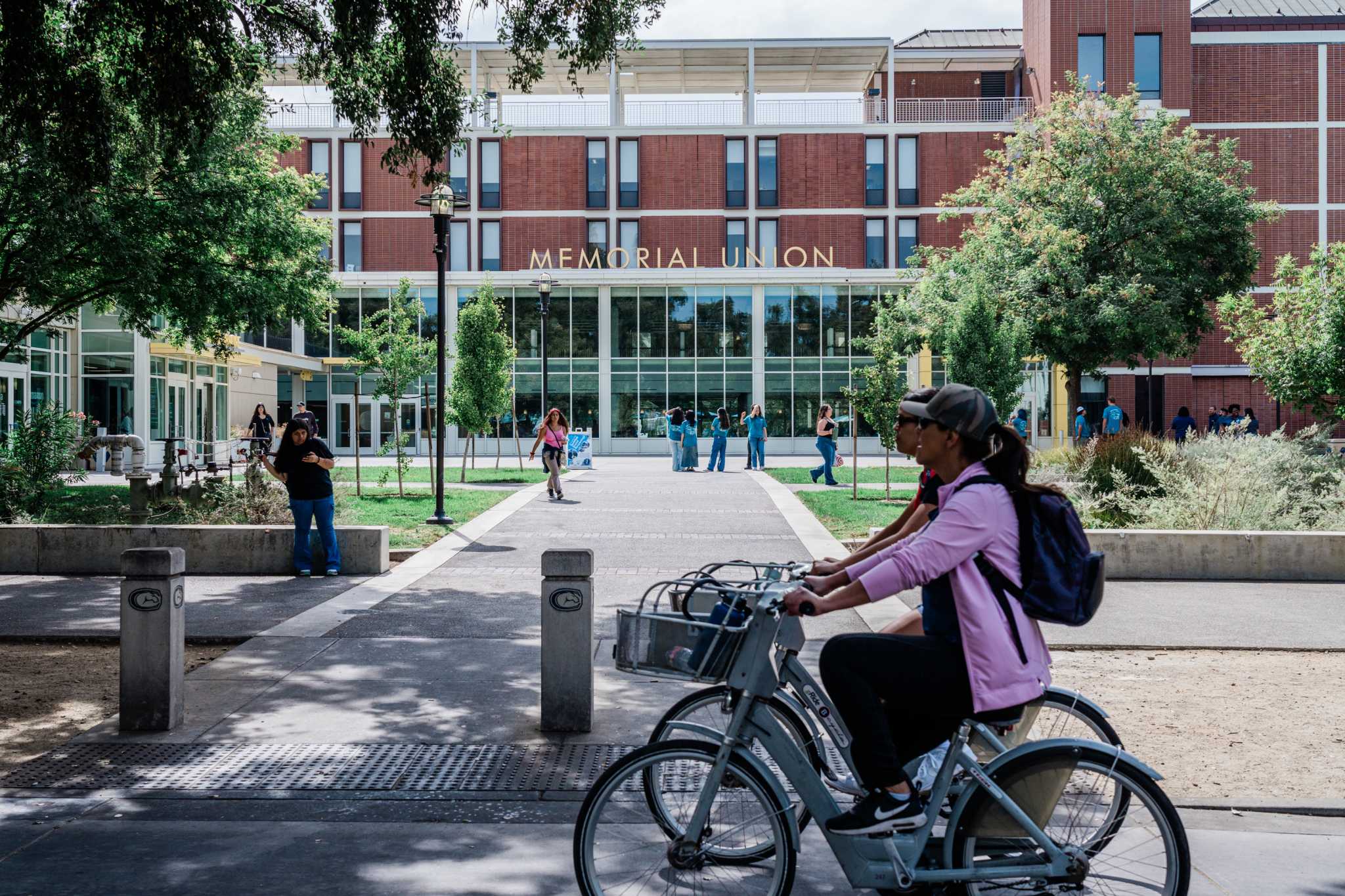 UC Davis acceptance rate Who gets in and who enrolls?