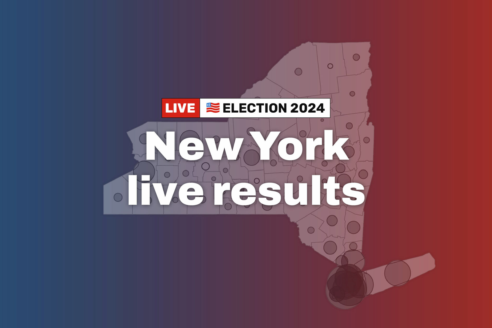 Live New York Senate and Assembly election results