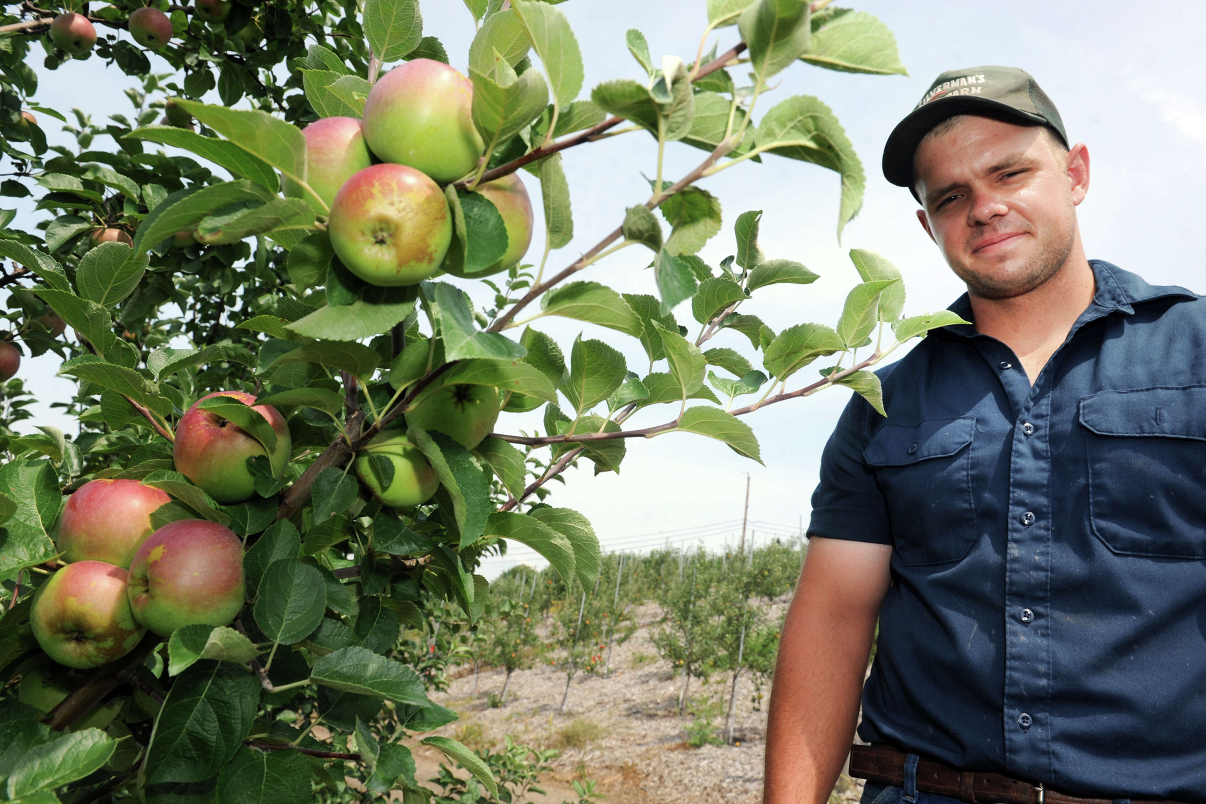 A 2022 guide to Connecticut Apple Picking