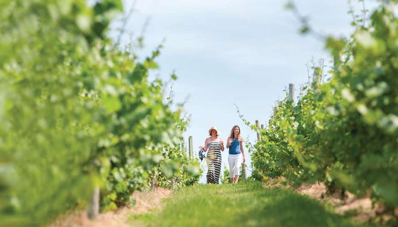 A guide to Connecticut's Wine Trail