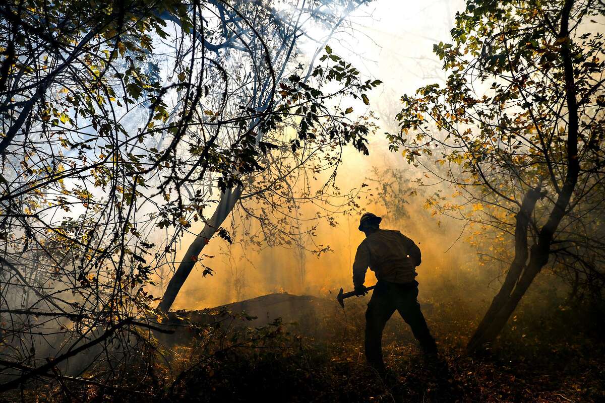 California fire essay image