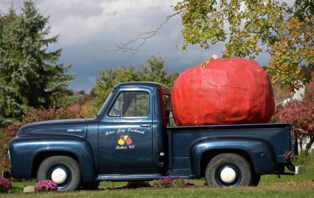 A 2021 guide to Connecticut Apple Picking
