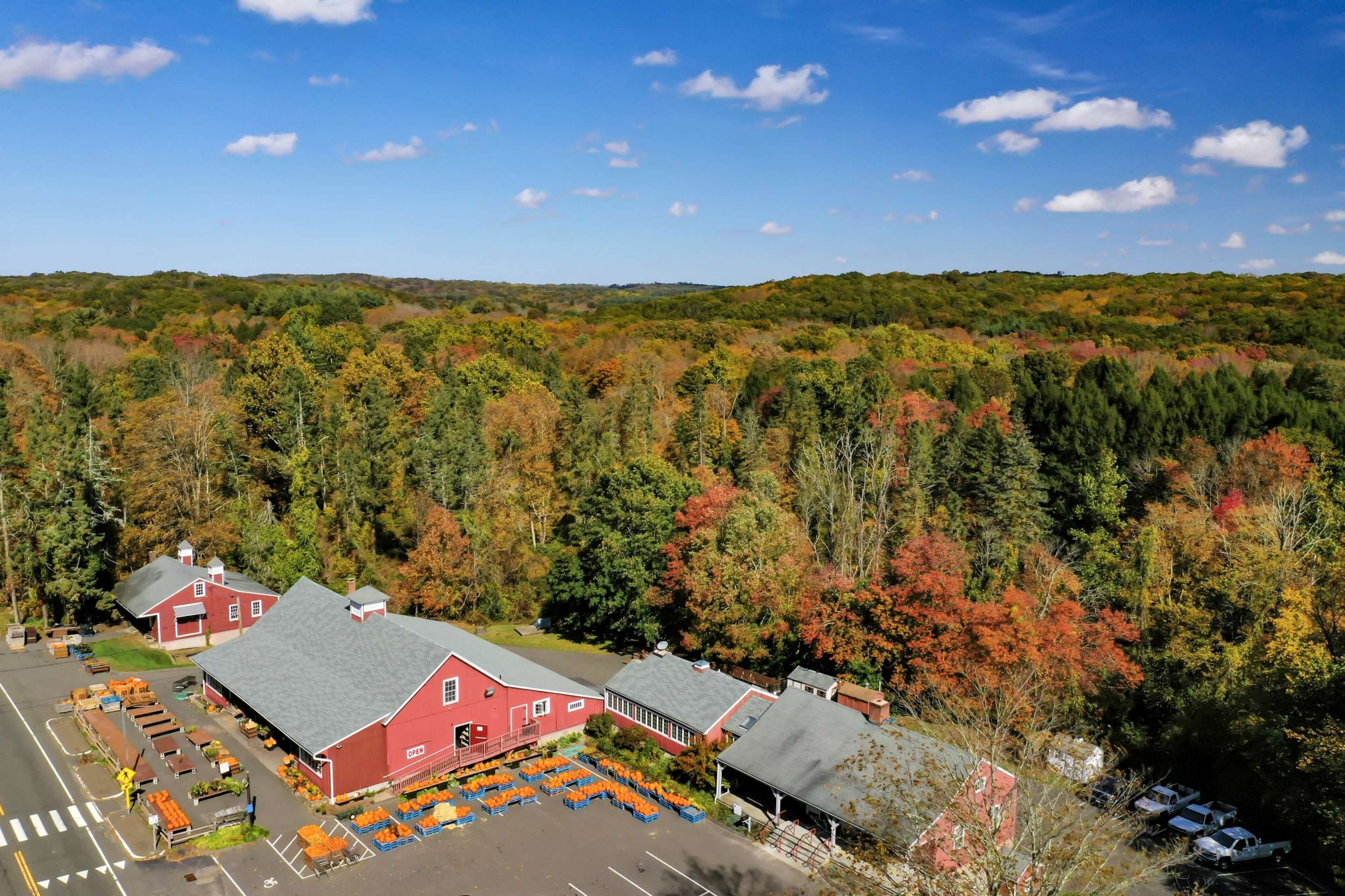 CT Fall foliage guide 2022