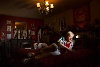 Davida Ashton lays on a bed next to a dog. Behind him is a wall full of photographs and a shelf filled with mannequins wearing wigs.