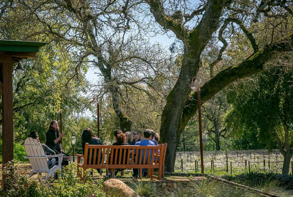 Group of people under a big oak tree on the porch at Hendry winery. 