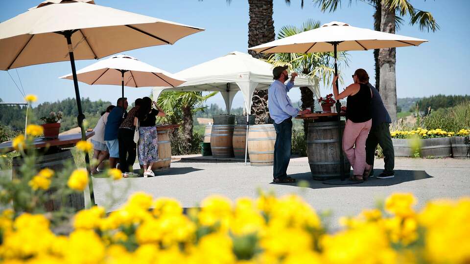 Best kidfriendly wineries in Napa, Sonoma and the SF Bay Area