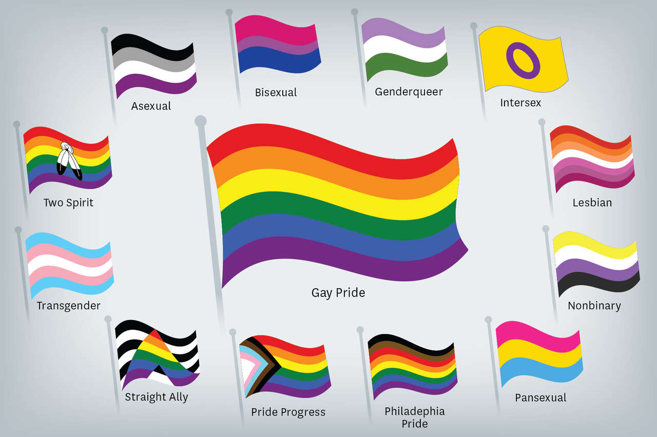 Pride Flag Guide Lgbtq Community S Varied Flags And Who They Represent