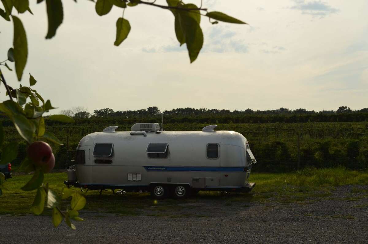 An RV is parked at the edge of an apple orchard.