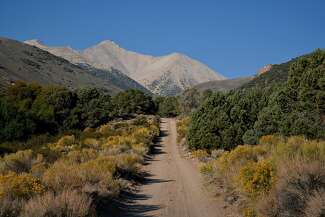 Photo of the trail to Boundary Peak in Inyo National Forest in Esmeralda County, Nevada.