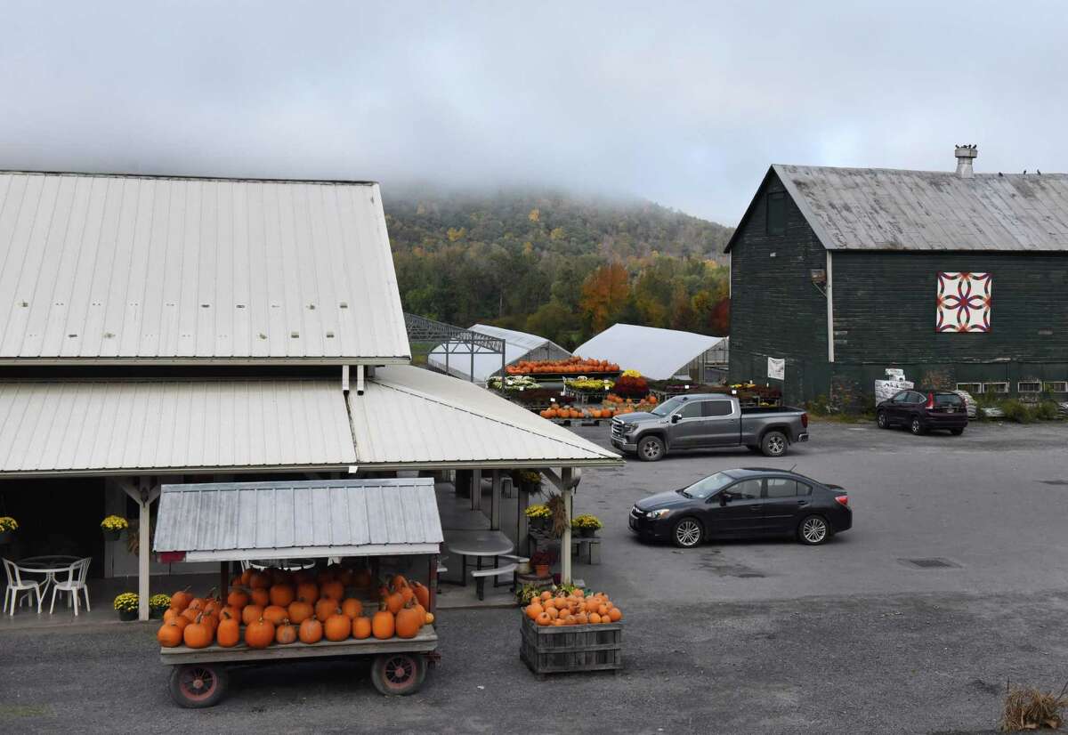 Pumpkins on a cart outside The Carrot Barn.