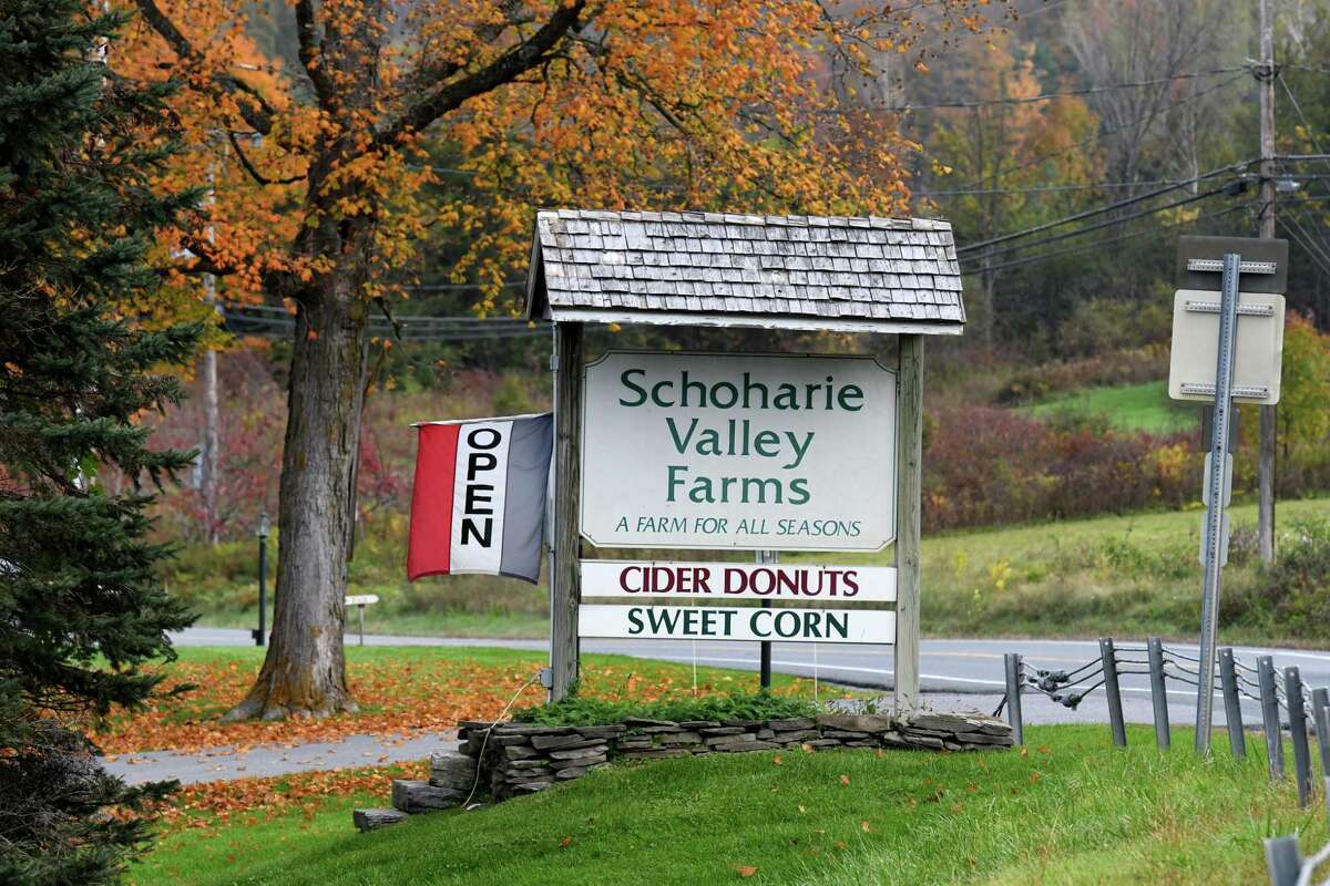Roadside sign for Schoharie Valley Farms and The Carrot Barn