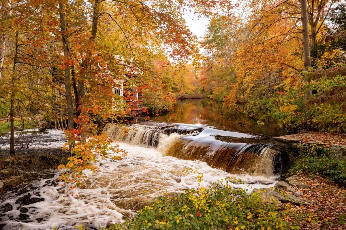 Fall foliage over Fairfield County
